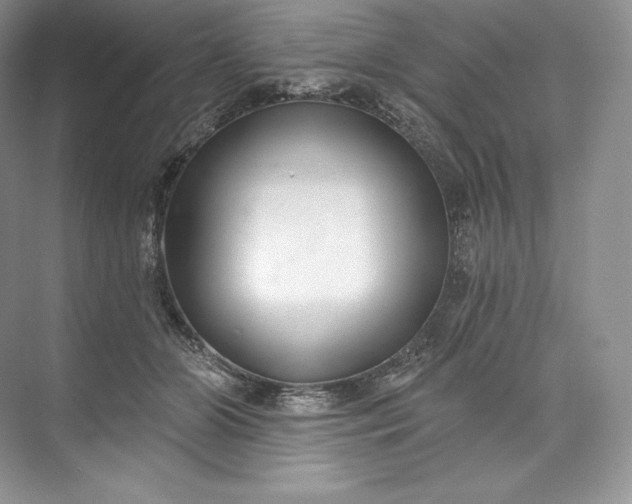 X0000073500510200608140911