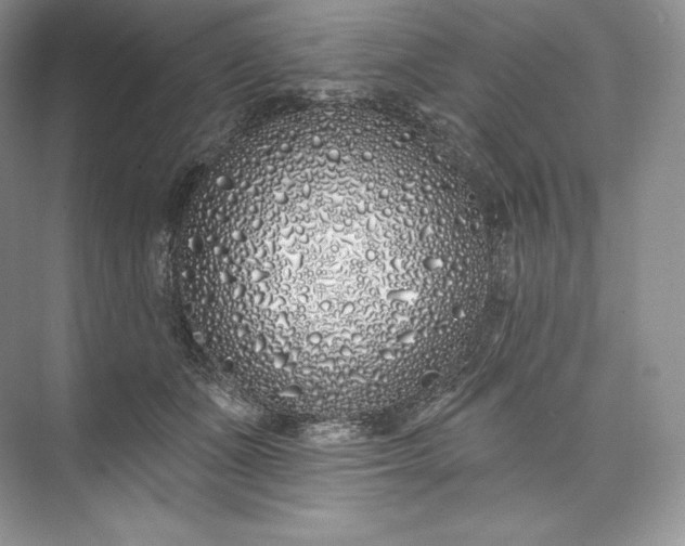 X0000073500511200608140911