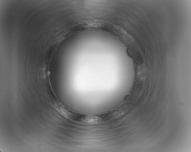 X0000073500514200608140911