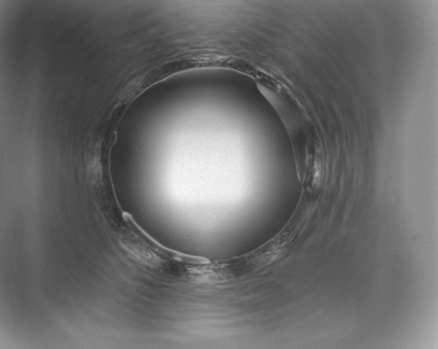 X0000073500516200608140911