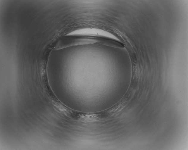X0000073500517200608140911