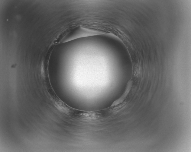 X0000073500524200608140911