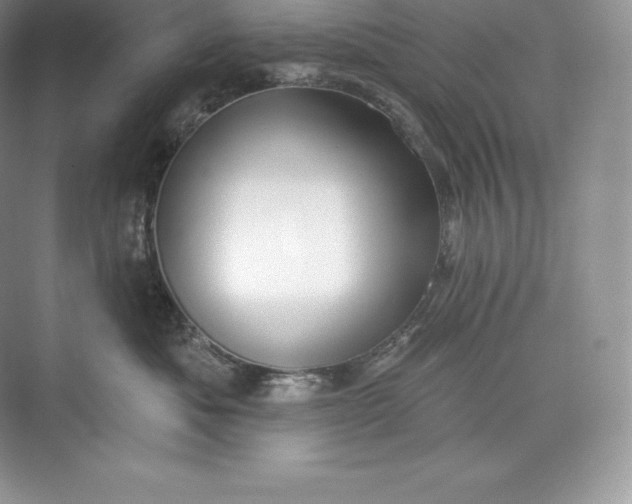 X0000073500525200608140911