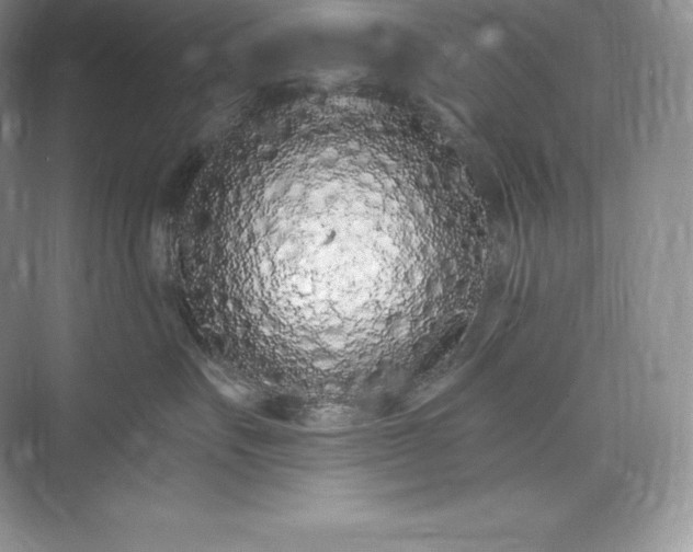 X0000073500527200608140911