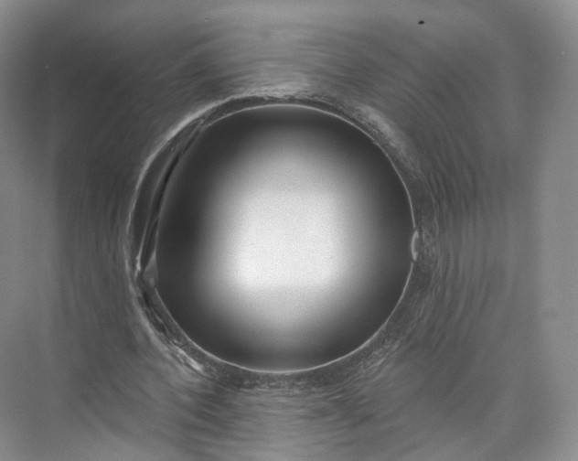 X0000073500532200608140910