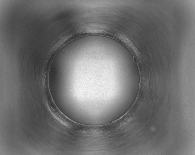 X0000073500533200608140910