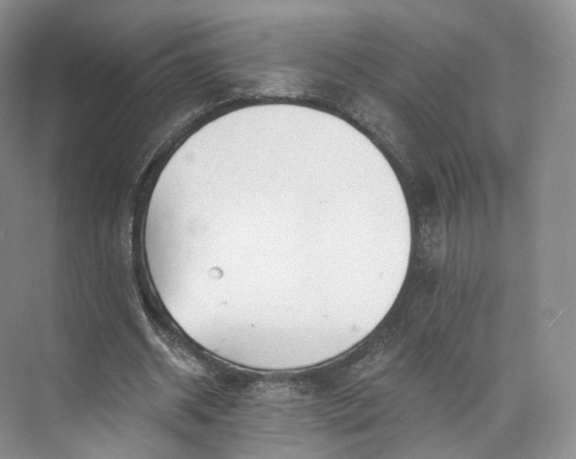 X0000073500534200608140910