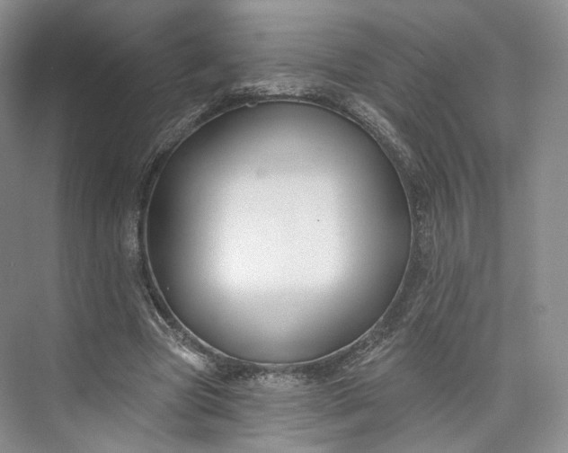 X0000073500537200608140910