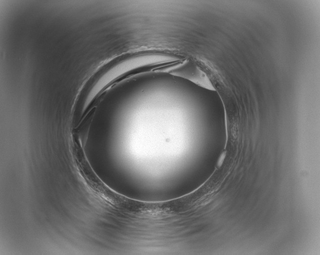 X0000073500540200608140911