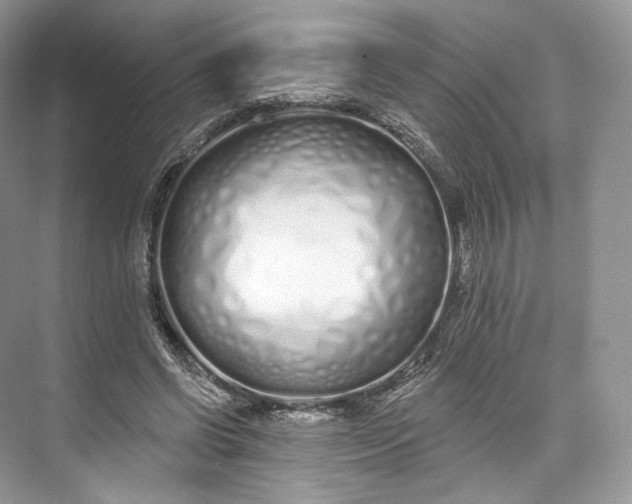 X0000073500542200608140911