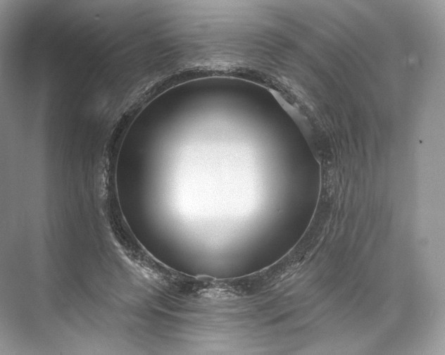 X0000073500544200608140911