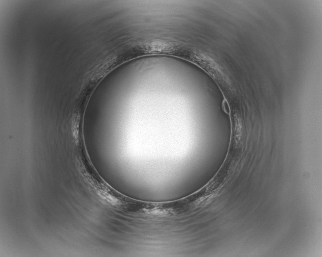 X0000073500545200608140911