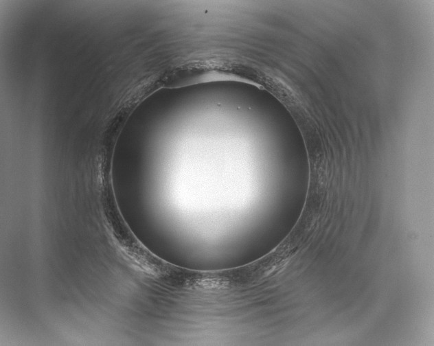 X0000073500546200608140911