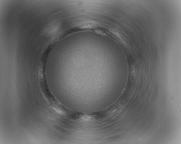 X0000073500547200608140911