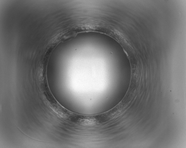 X0000073500548200608140911