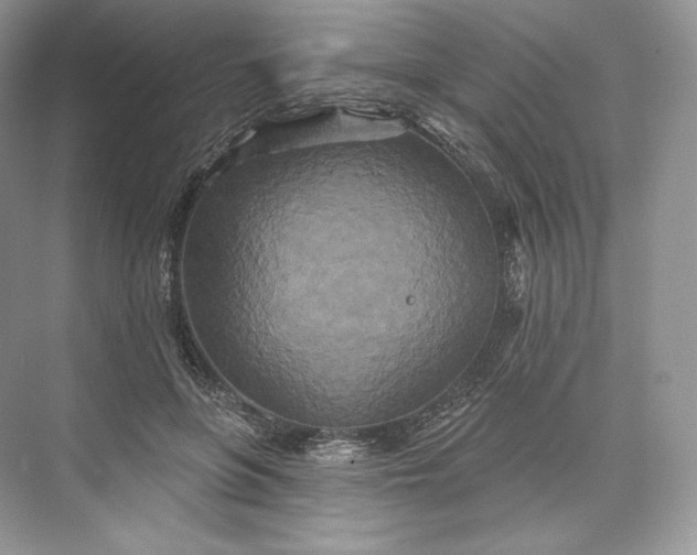 X0000073500551200608140911