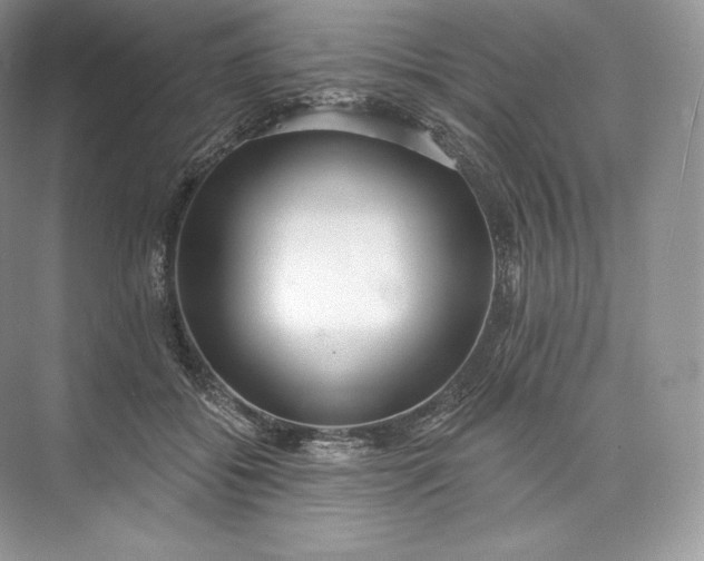 X0000073500556200608140911
