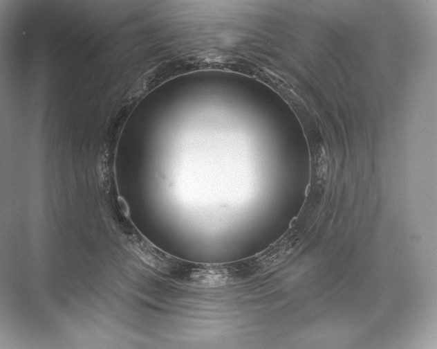 X0000073500559200608140911