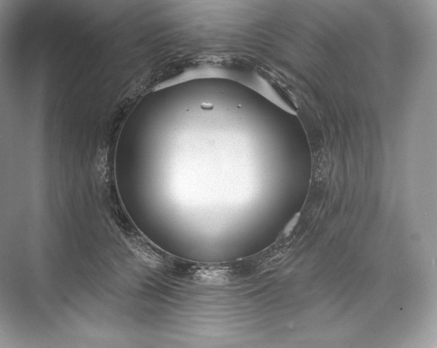 X0000073500560200608140911