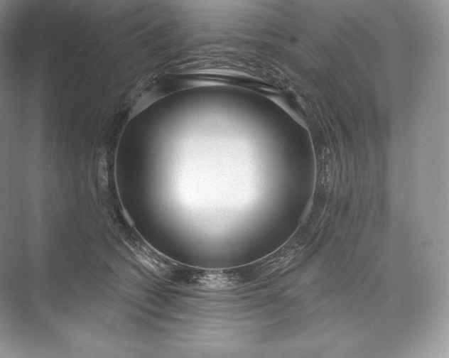 X0000073500562200608140911