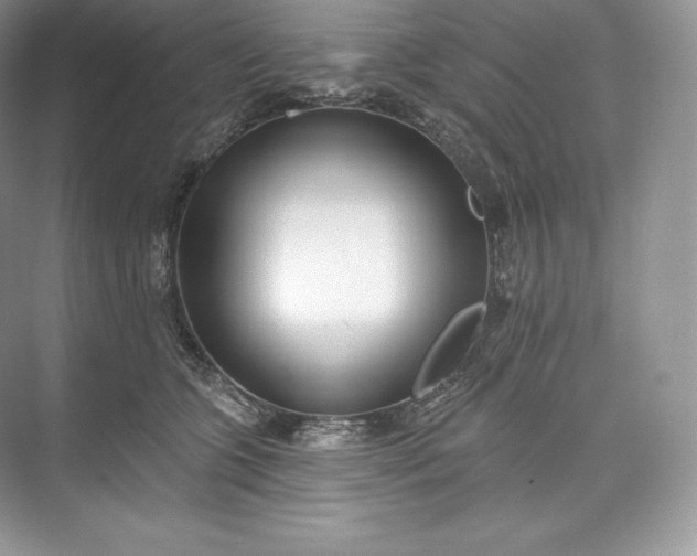 X0000073500563200608140911