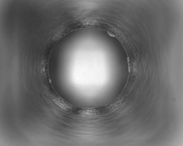 X0000073500567200608140911