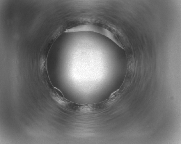 X0000073500574200608140911