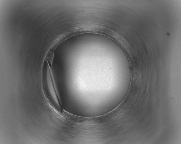X0000073500578200608140910