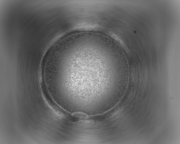 X0000073500582200608140910
