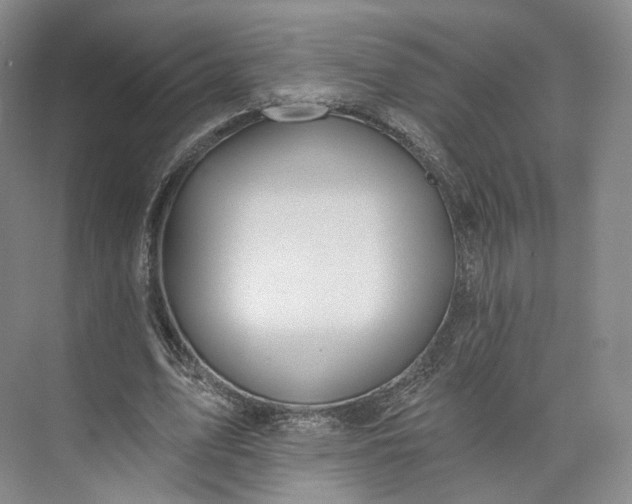 X0000073500583200608140910