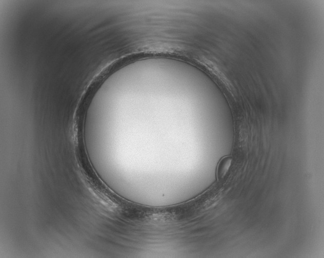 X0000073500584200608140910