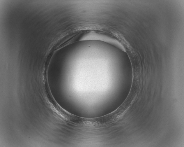 X0000073500585200608140910