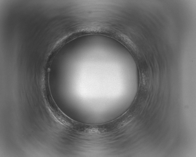 X0000073500588200608140910