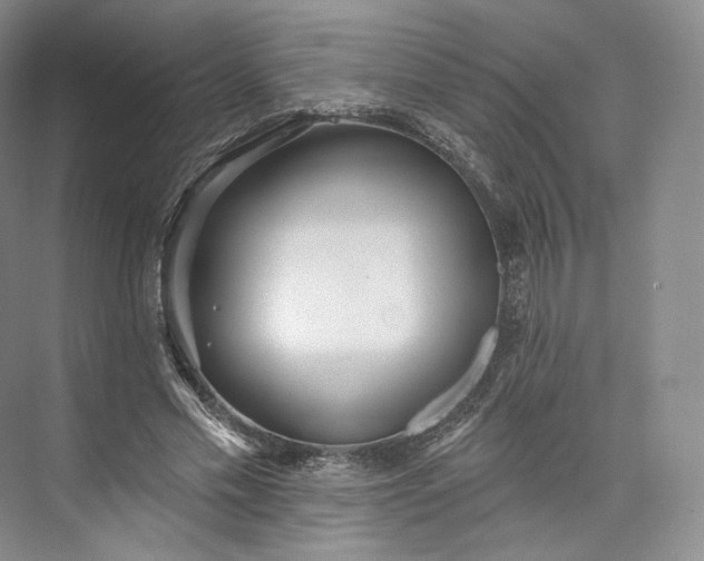 X0000073500589200608140910