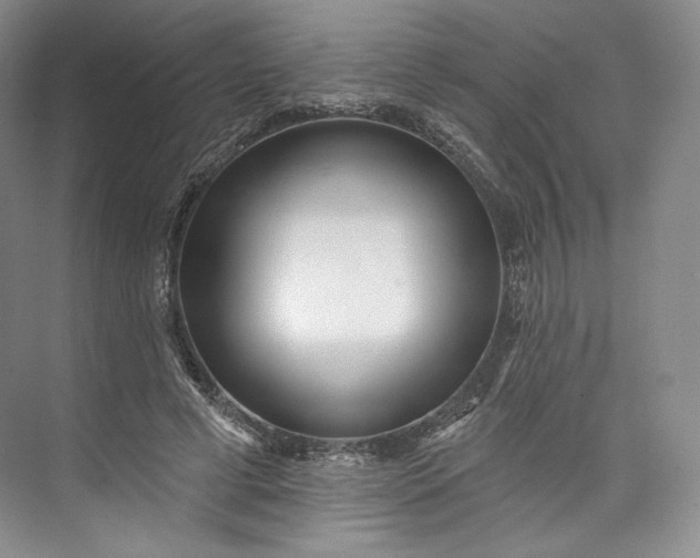 X0000073500593200608140910