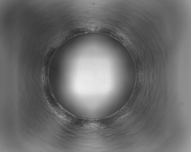 X0000073500594200608140910
