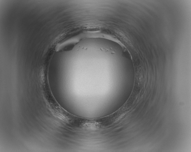 X0000073500595200608140910