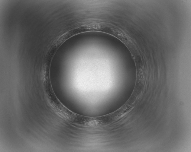 X0000073500600200608140910