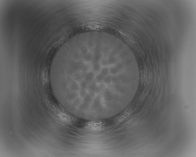 X0000073500606200608140910