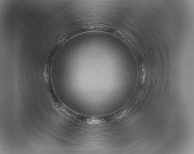 X0000073500607200608140910