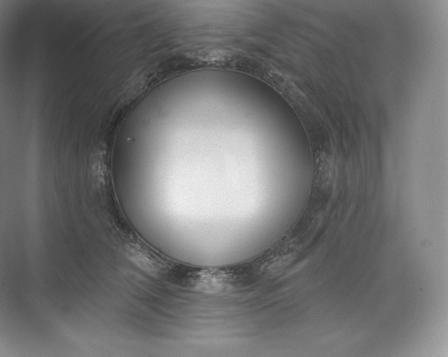 X0000073500612200608140910