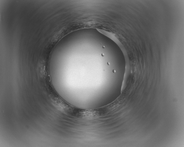 X0000073500615200608140910