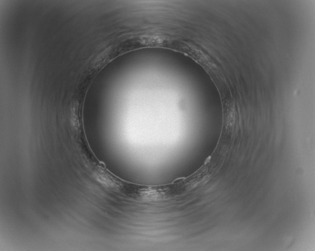 X0000073500616200608140910