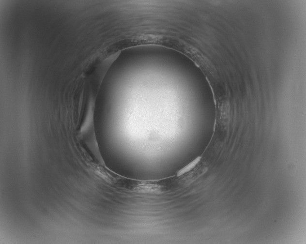 X0000073500617200608140910