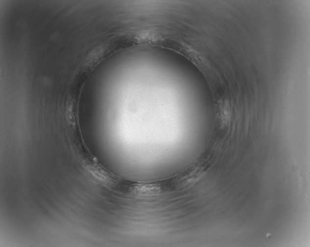 X0000073500619200608140910