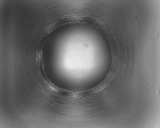 X0000073500624200608140910
