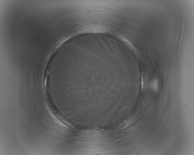 X0000073500627200608140909