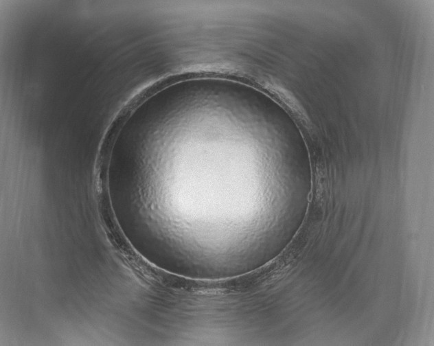 X0000073500628200608140909