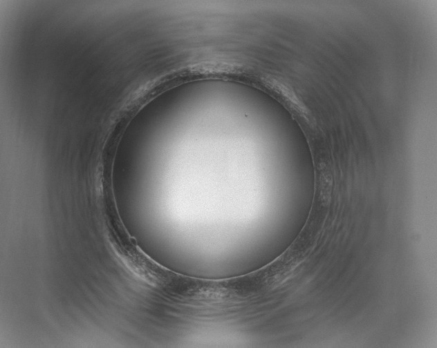 X0000073500631200608140909