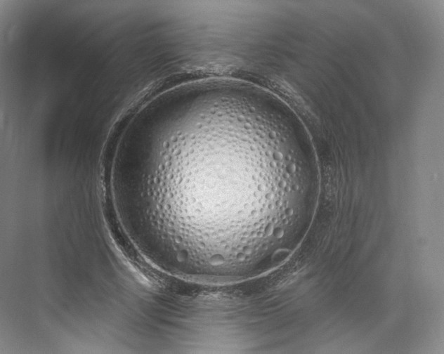 X0000073500634200608140909